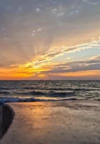 452fe9fd-29fa-423b-a2e9-83d352af5e69