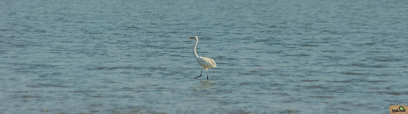 جاهای دیدنی بندرعباس | راهنمای کامل سفر و تجربه گردشگری