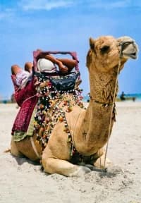 c9c23f38-1ef4-4bfc-a9de-4f39f1c1dc1f