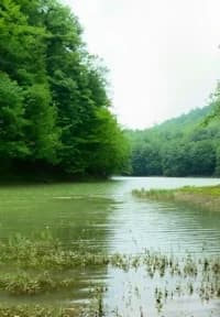 f7e393b2-56d3-4947-a0d2-d0eccc28afe0